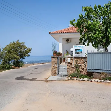 Euphoria Seafront Selinitsa